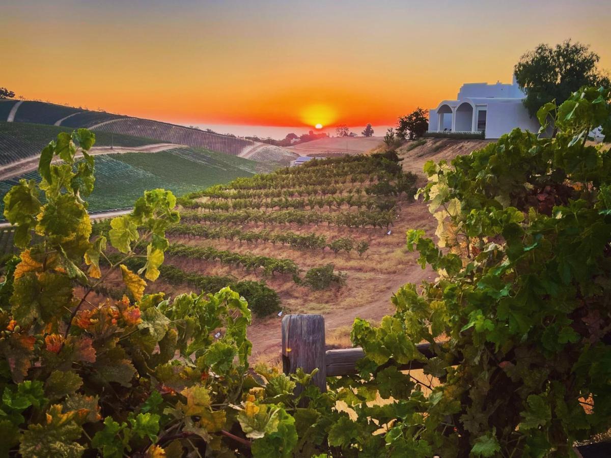 Sirena Vineyard Resort Paso Robles Eksteriør billede